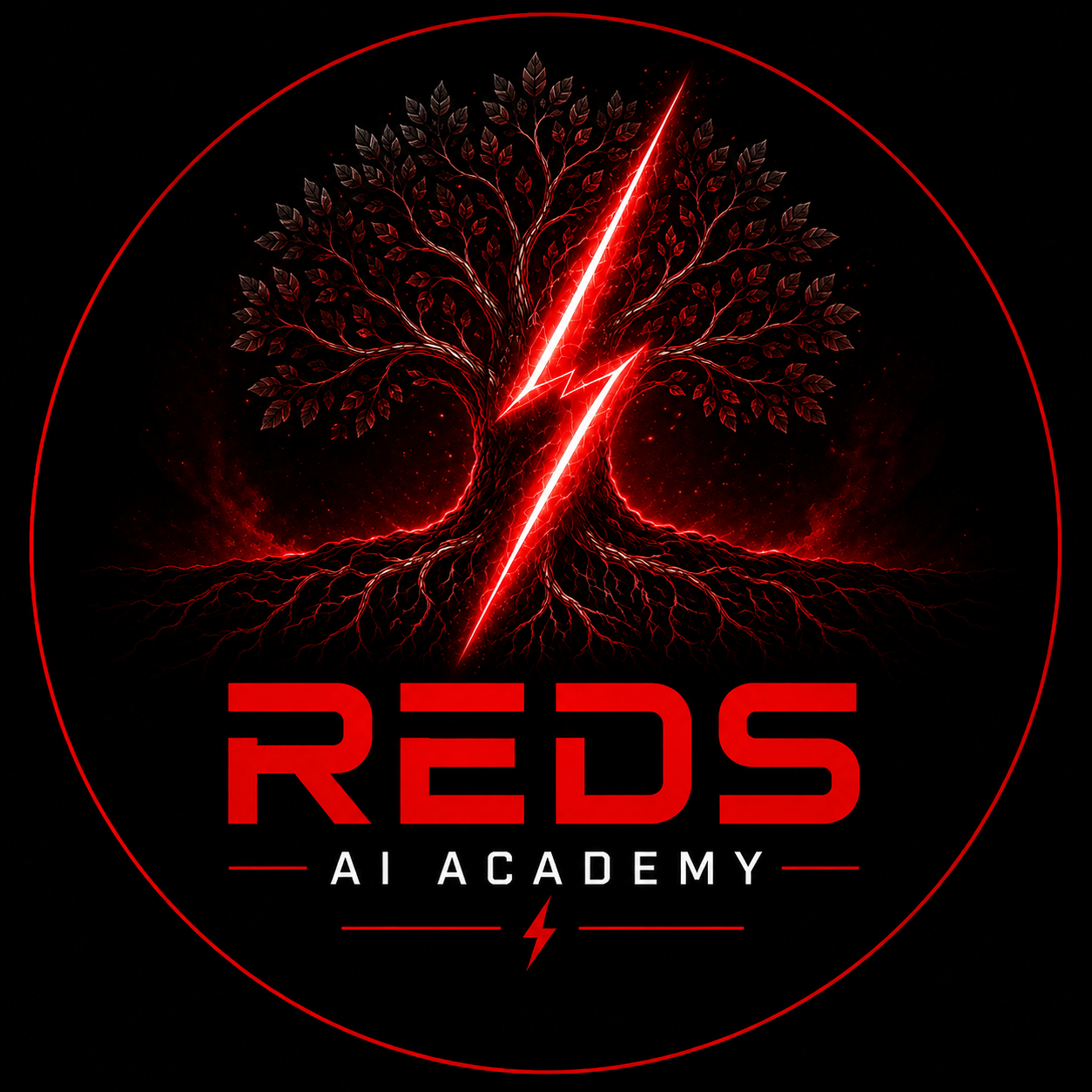 REDS AI ACADEMY